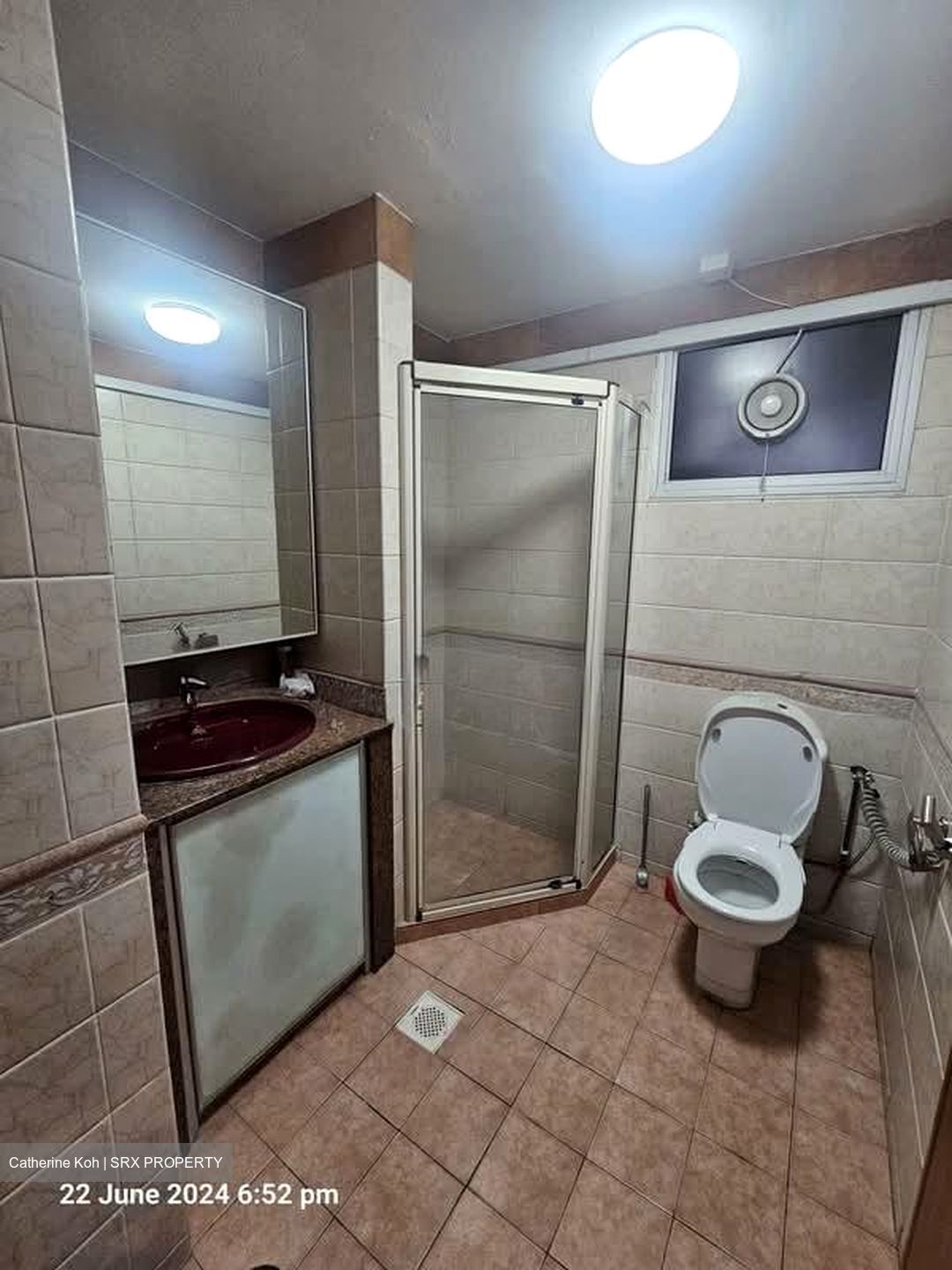 Parc Vista (D22), Condominium #574015891